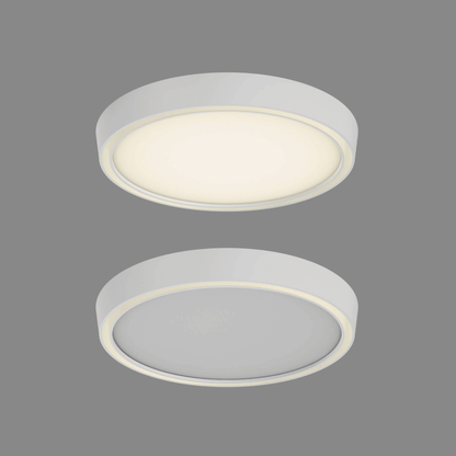 12″ Dual - light Flush Mount - Orvon Lighting