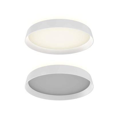 12″ Dual - light Flush Mount - Orvon Lighting