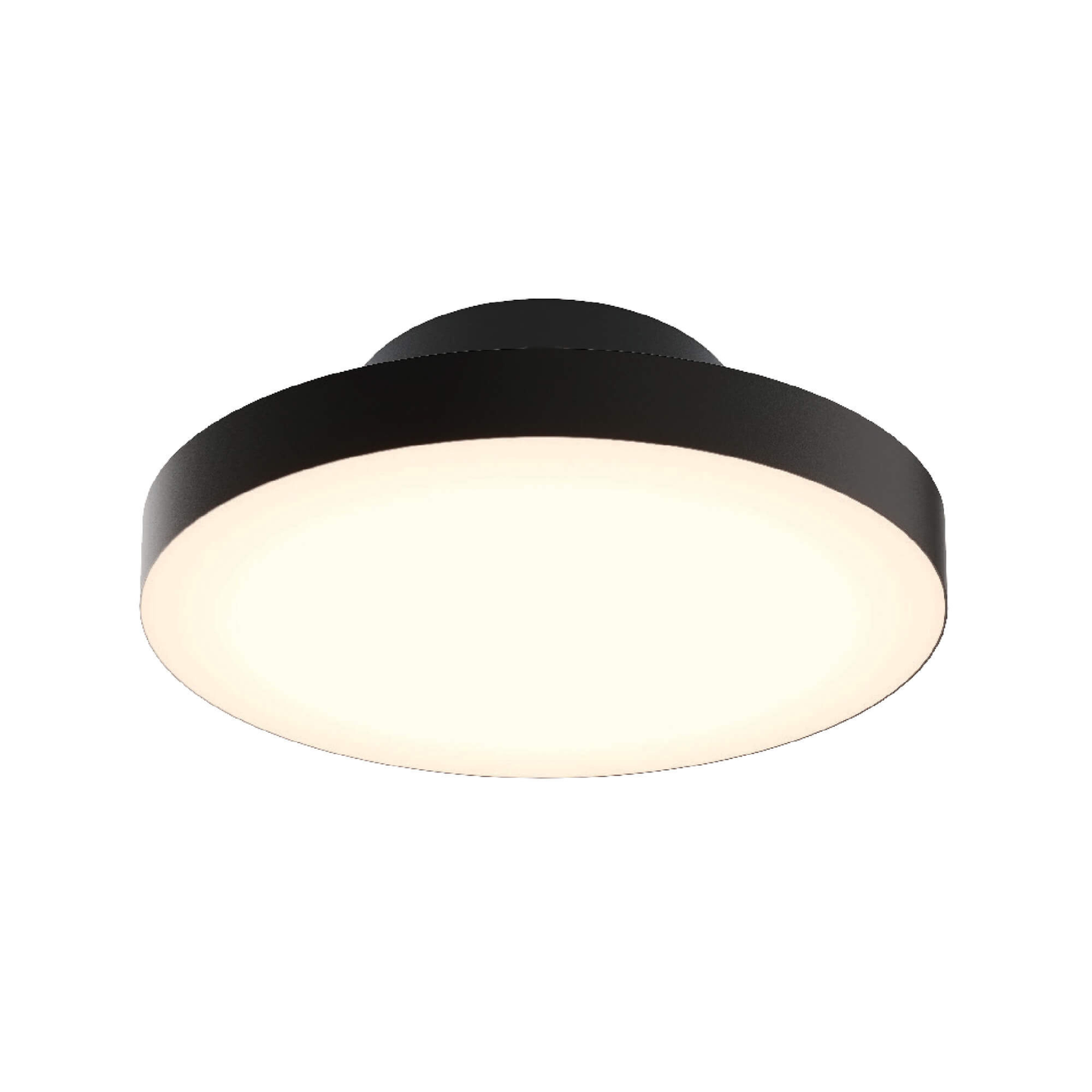 12″ 2-in-1 Pendant and flush mount