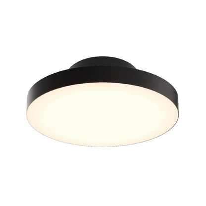 12″ 2-in-1 Pendant and flush mount