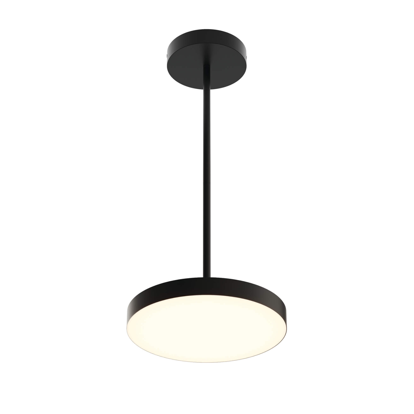 12″ 2-in-1 Pendant and flush mount