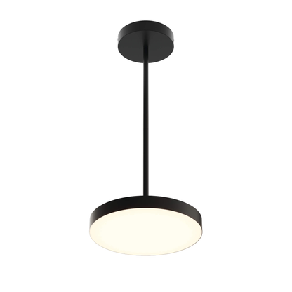 12″ 2-in-1 Pendant and flush mount