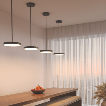 12″ 2-in-1 Pendant and flush mount