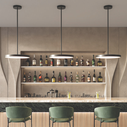 12″ 2-in-1 Pendant and flush mount