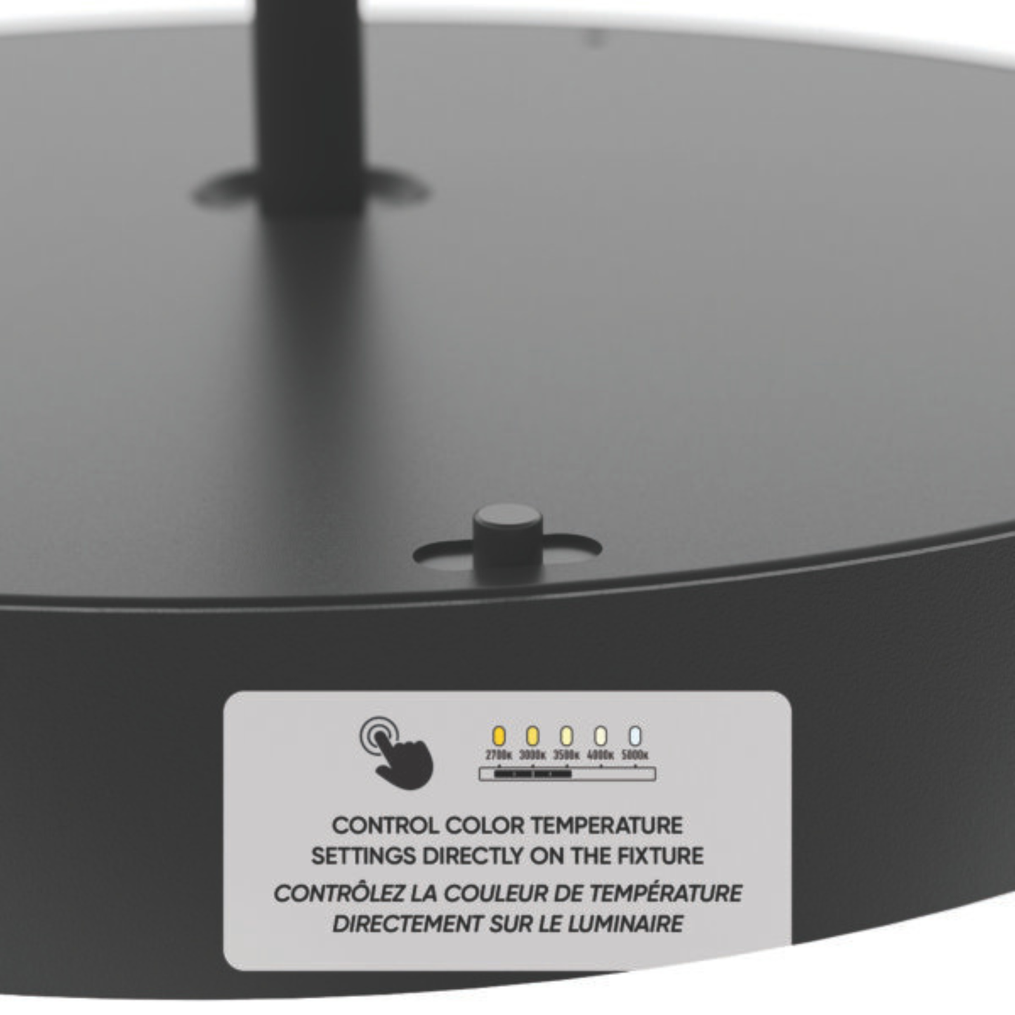 12″ 2-in-1 Pendant and flush mount