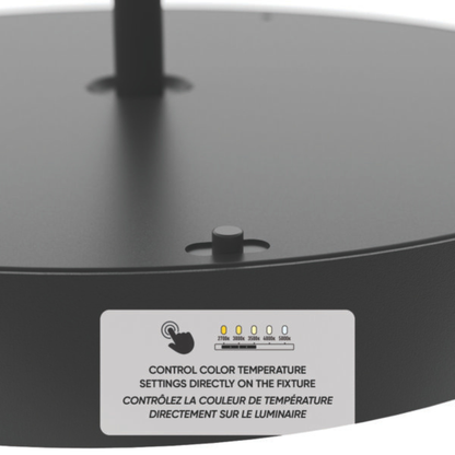 12″ 2-in-1 Pendant and flush mount