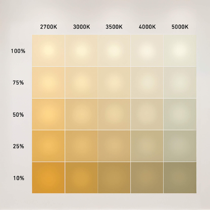 12″ 2-in-1 Pendant and flush mount