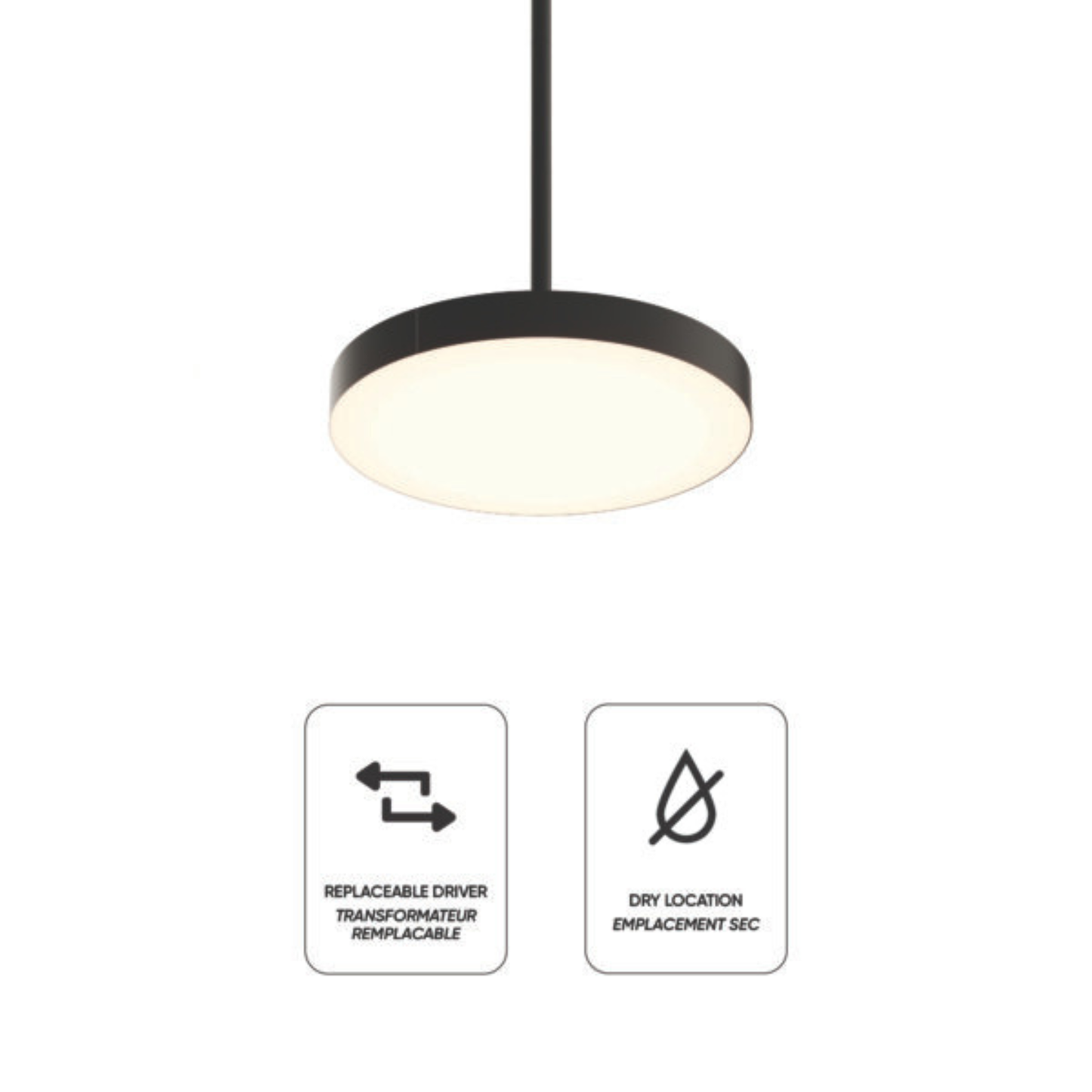 12″ 2-in-1 Pendant and flush mount
