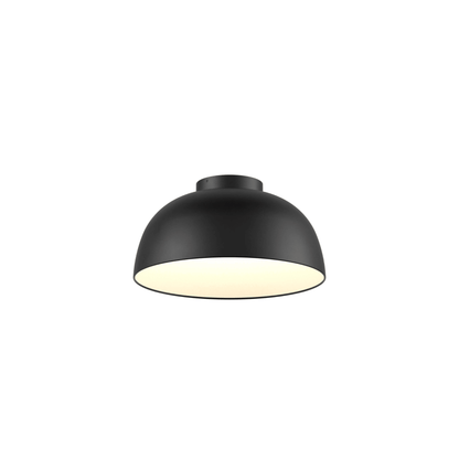 20″ 2 - in - 1 Flush Mount And Pendant - Orvon Lighting