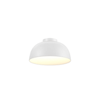 20″ 2 - in - 1 Flush Mount And Pendant - Orvon Lighting