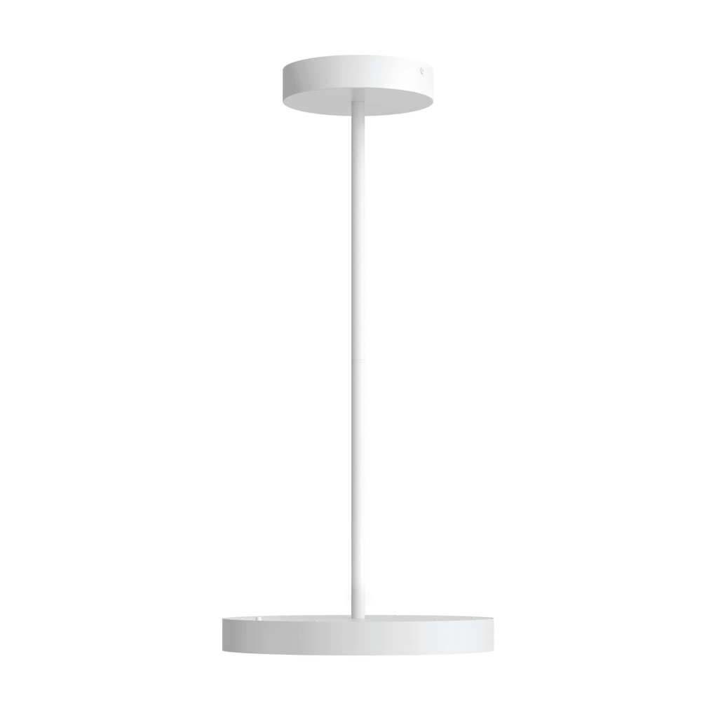 21″ 2 - in - 1 Pendant and flush mount - Orvon Lighting