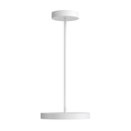 21″ 2 - in - 1 Pendant and flush mount - Orvon Lighting