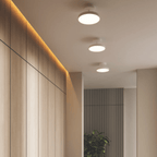 21″ 2 - in - 1 Pendant and flush mount - Orvon Lighting