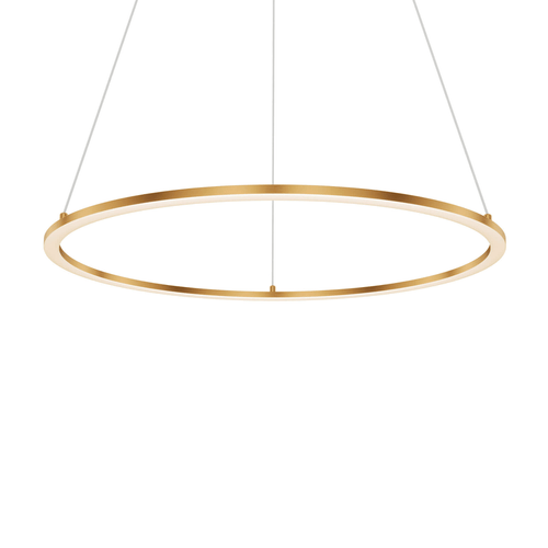 24″ LED Ceiling Pendant - Orvon Lighting