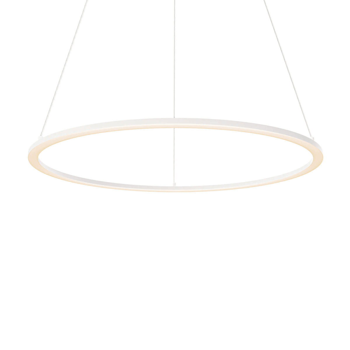 24″ LED Ceiling Pendant - Orvon Lighting