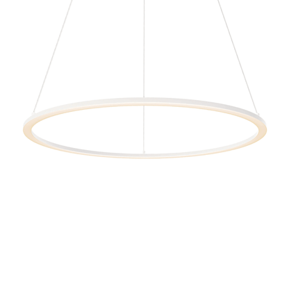 24″ LED Ceiling Pendant - Orvon Lighting