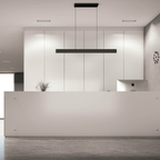 48” Multi - spot Linear Pendant - Orvon Lighting