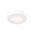 5″ Round Coastal - rated Flush Mount - Orvon Lighting
