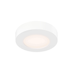 5″ Round Coastal - rated Flush Mount - Orvon Lighting