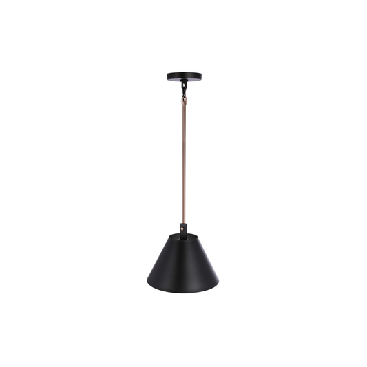 Blake 1 Light Pendant in Flat Black/Satin Brass