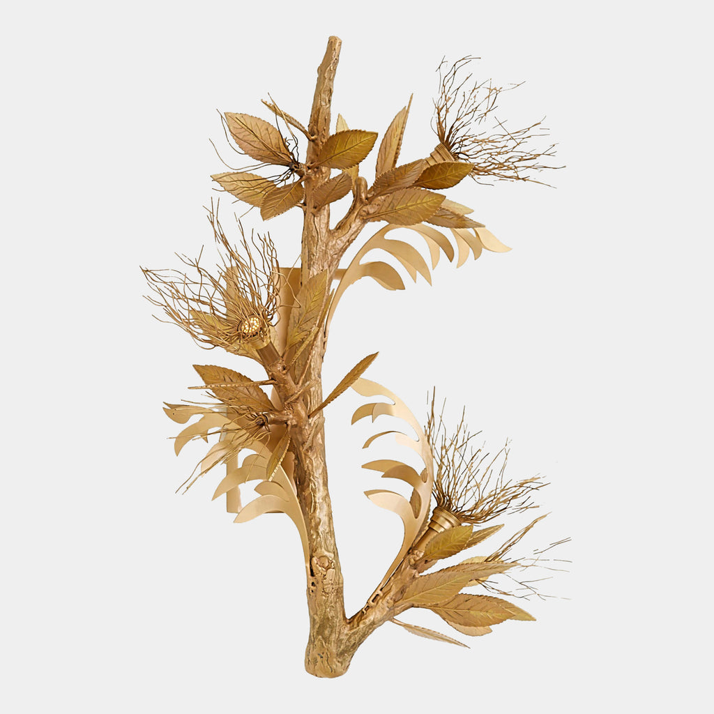 Global Views Albizia Wall Sconce product view