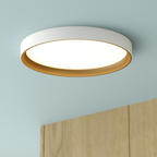 Darien 12-in. W LED Flush Mount