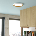 Darien 12-in. W LED Flush Mount