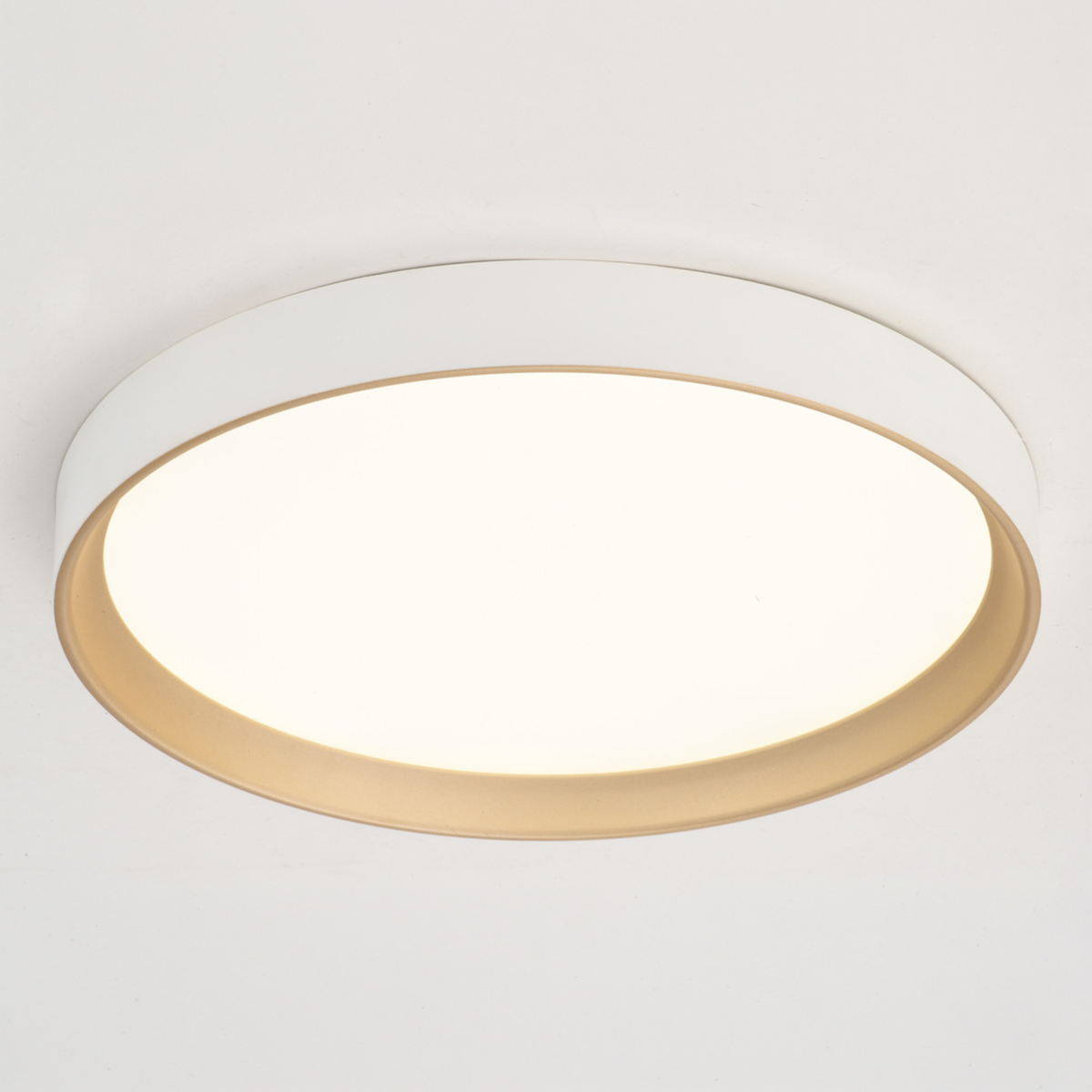 Darien 12-in. W LED Flush Mount