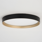 Darien 12-in. W LED Flush Mount