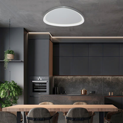 Florida LED Flush Mount Ceiling Light