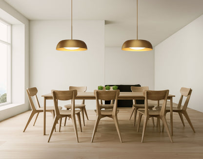 Noruega LED Pendant Ceiling Light