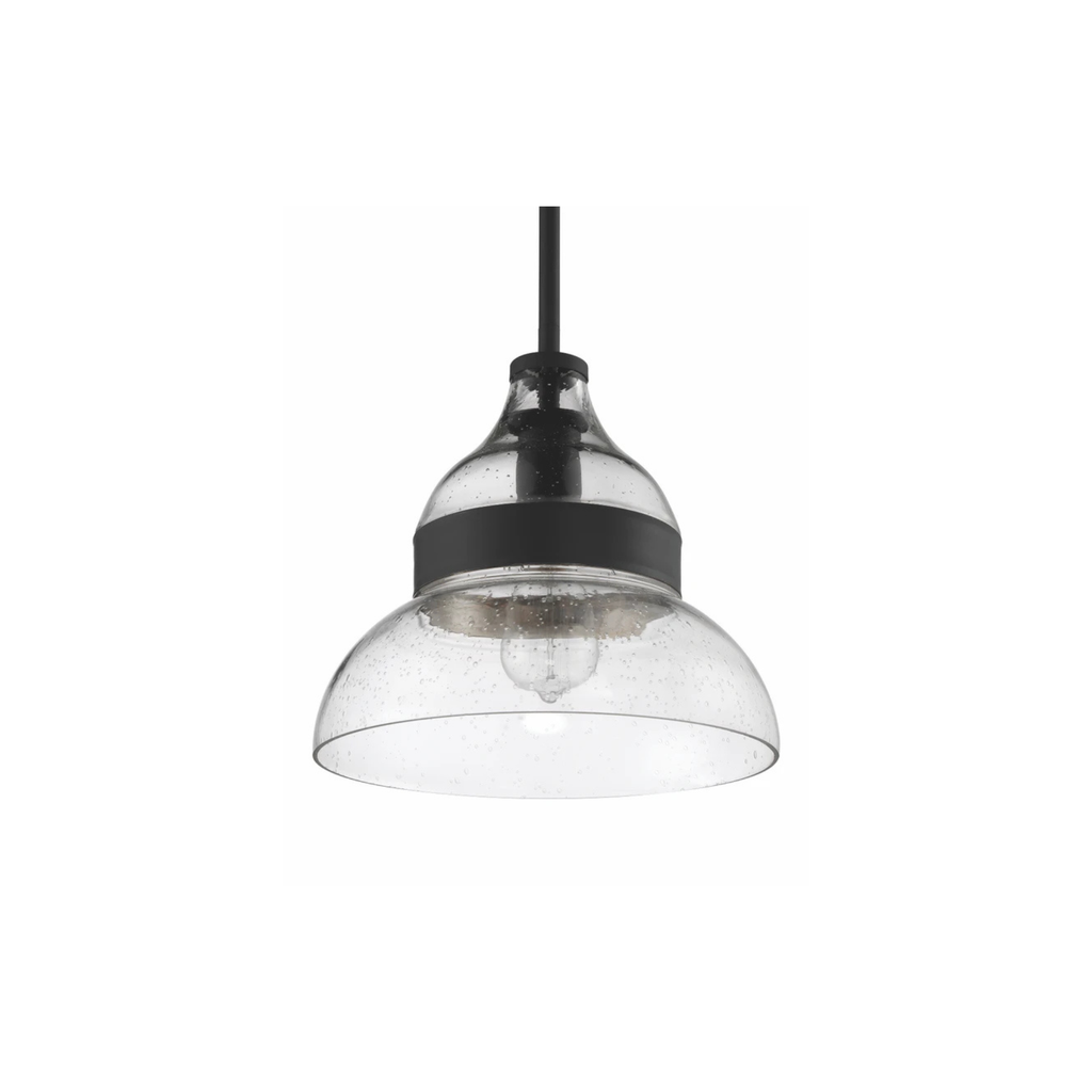 Smyth 1 Light 10.5 inch Mini Pendant Ceiling Light P960FB1