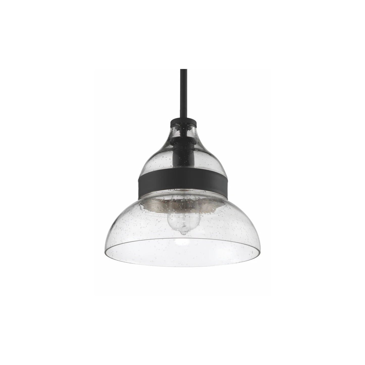 Smyth 1 Light 10.5 inch Mini Pendant Ceiling Light P960FB1