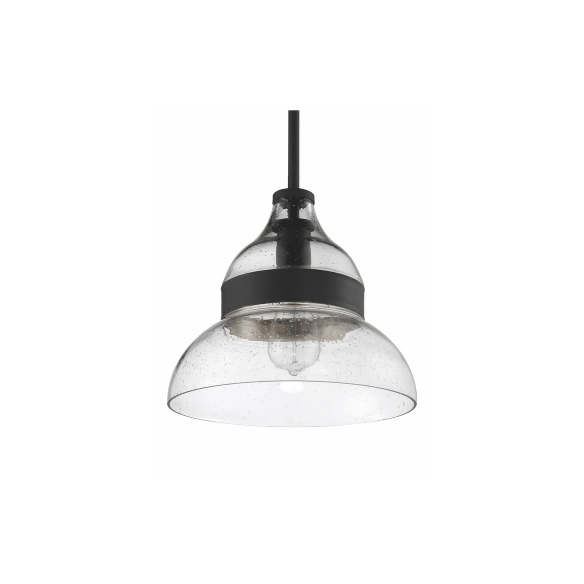 Smyth 1 Light 10.5 inch Mini Pendant Ceiling Light P960FB1