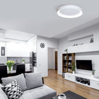Alaska 19" LED Flush Mount Ceiling Light - Orvon Lighting