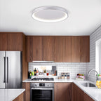 Alaska 19" LED Flush Mount Ceiling Light - Orvon Lighting