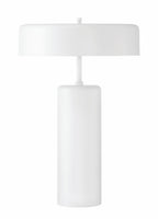 Bejamin 22.99 inch 60 watt Table Lamp Portable Light - Orvon Lighting