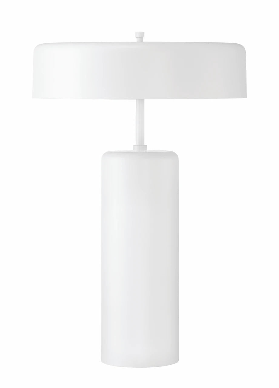 Bejamin 22.99 inch 60 watt Table Lamp Portable Light - Orvon Lighting