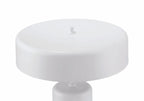 Bejamin 22.99 inch 60 watt Table Lamp Portable Light - Orvon Lighting