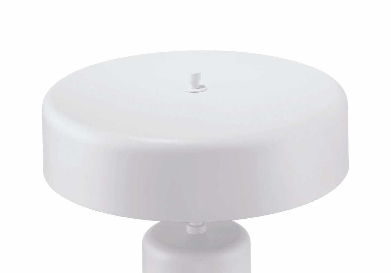 Bejamin 22.99 inch 60 watt Table Lamp Portable Light - Orvon Lighting