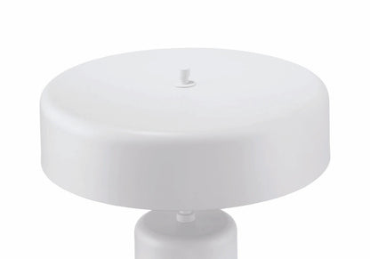 Bejamin 22.99 inch 60 watt Table Lamp Portable Light - Orvon Lighting