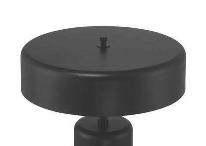 Bejamin 22.99 inch 60 watt Table Lamp Portable Light - Orvon Lighting