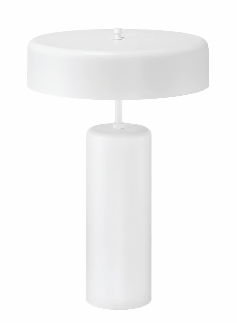Bejamin 22.99 inch 60 watt Table Lamp Portable Light - Orvon Lighting