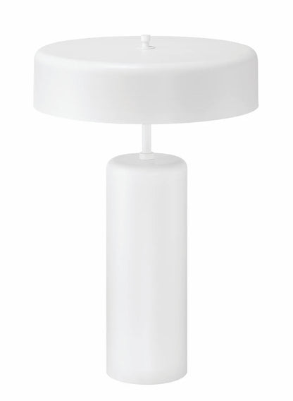 Bejamin 22.99 inch 60 watt Table Lamp Portable Light - Orvon Lighting