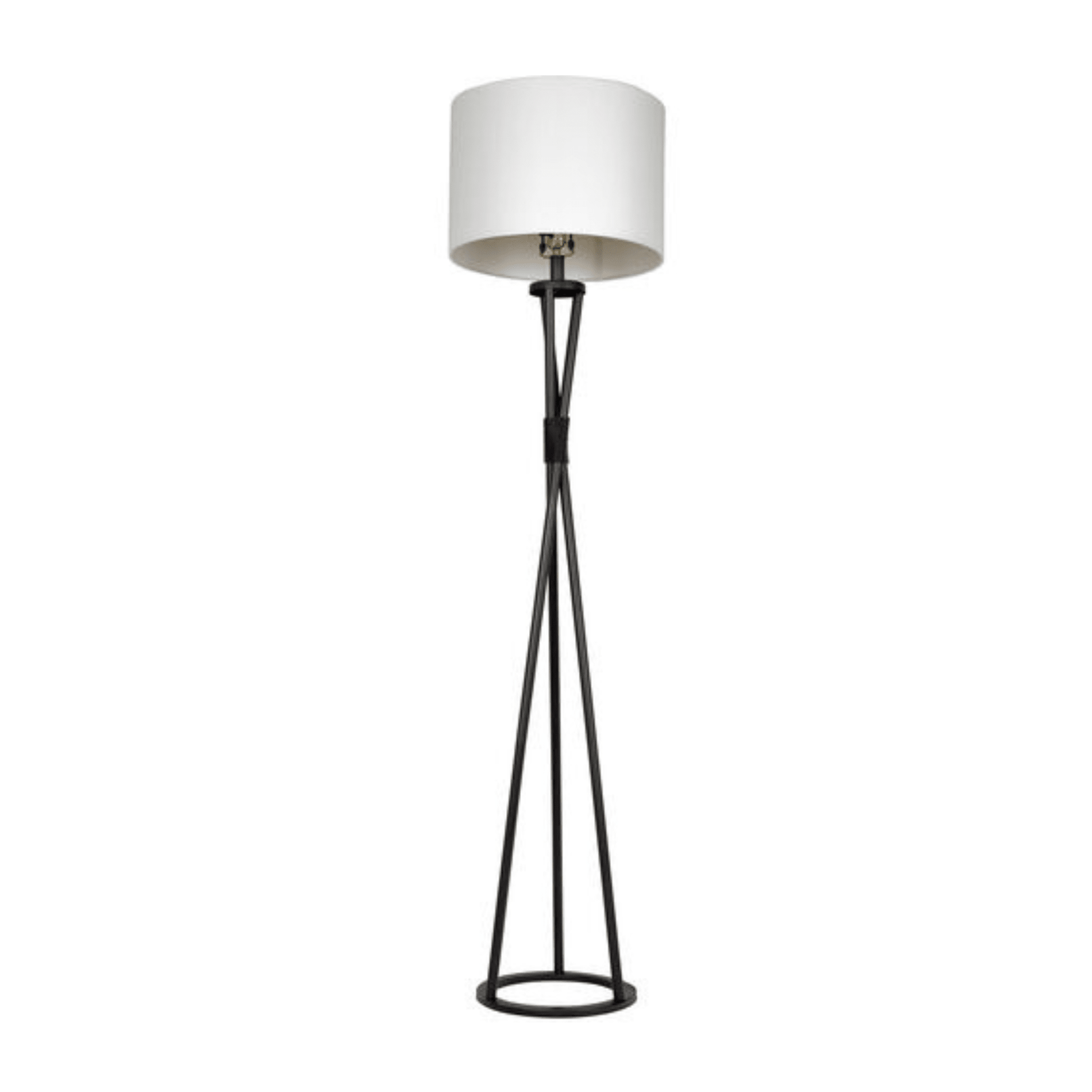 Bejamin 61.75 inch 100 watt Flat Black Floor Lamp Portable Light - Orvon Lighting