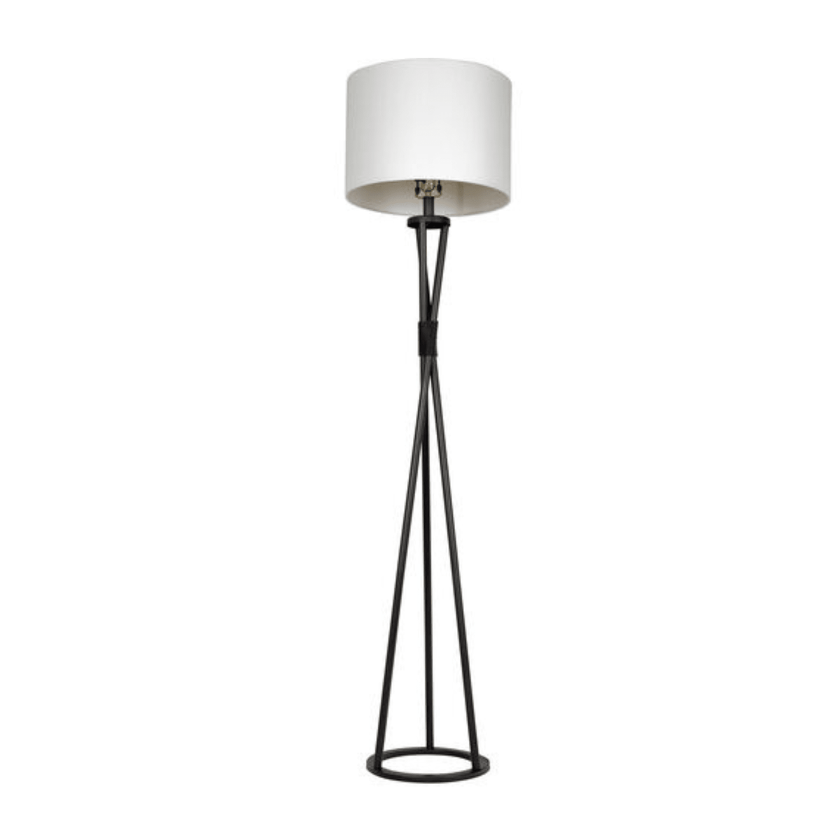 Bejamin 61.75 inch 100 watt Flat Black Floor Lamp Portable Light - Orvon Lighting