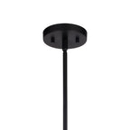 Beloit 12 - in. Pendant Matte Black - Orvon Lighting
