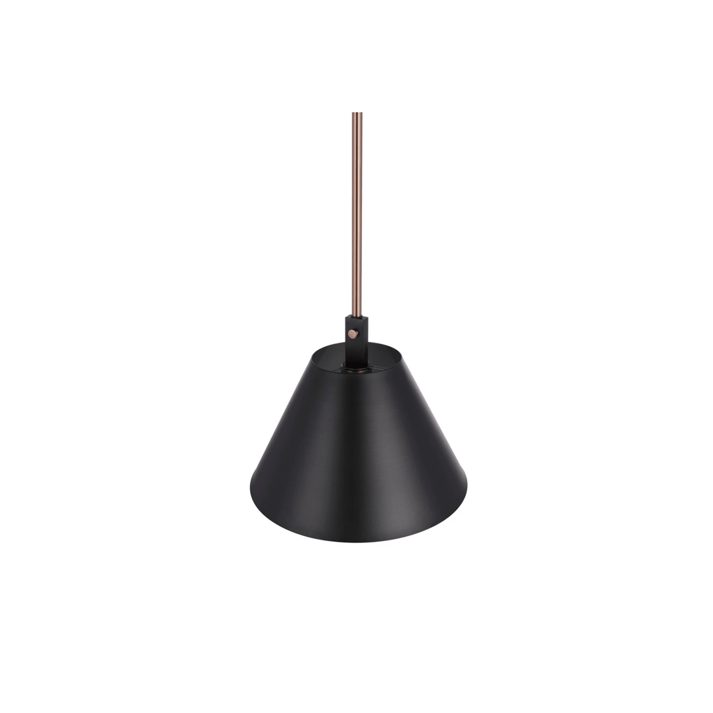 Blake 1 Light Pendant in Flat Black/Satin Brass - Orvon Lighting