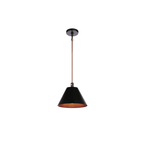 Blake 1 Light Pendant in Flat Black/Satin Brass - Orvon Lighting