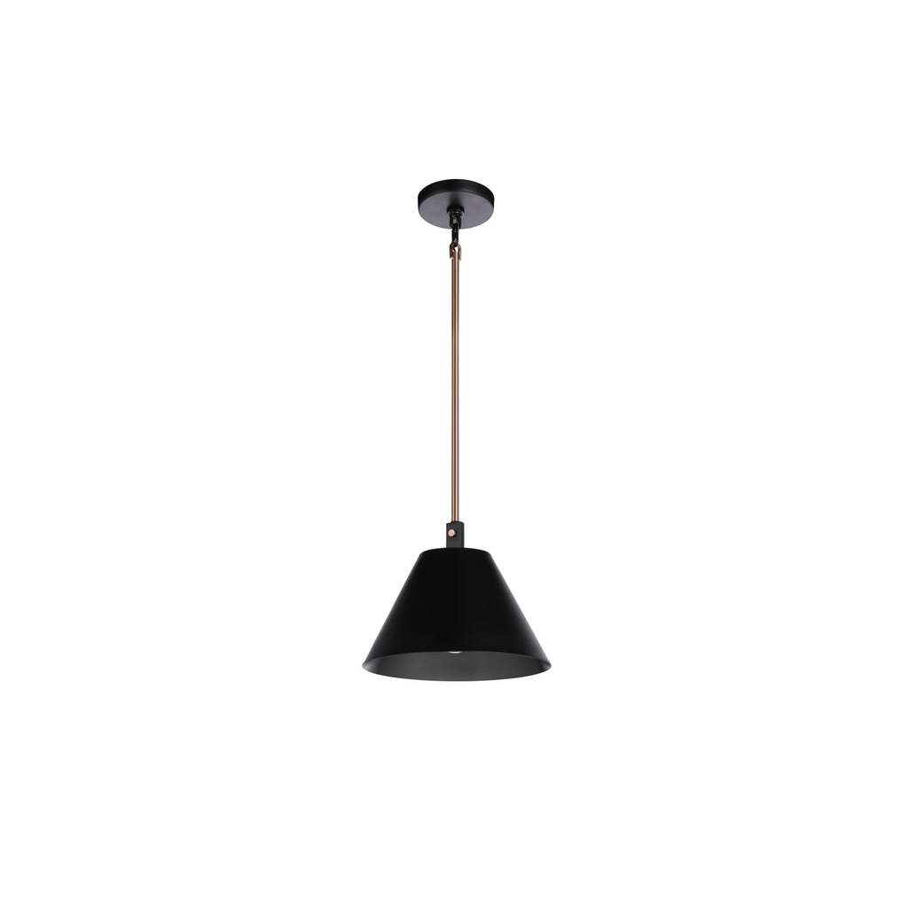 Blake 1 Light Pendant in Flat Black/Satin Brass - Orvon Lighting